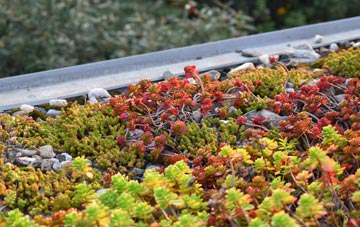 the cost of Merseyside green roof installation