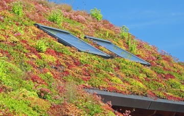 Merseyside living roof systems